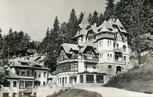 Postcard Romania statiune Sinaia