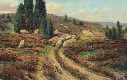 Postcard illustrators painting water millsheep flock in nature