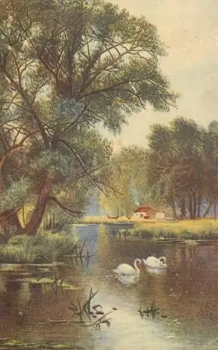 Postcard illustrators painting lake scene and swans