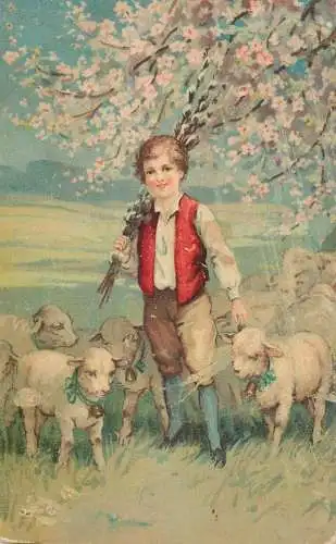 Postcard illustrators painting sheeps and boy