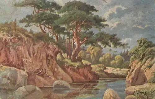 Postcard illustrators painting Present coast landscape and forest