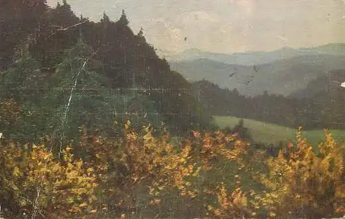 Postcard Illustrators painting summer forest landscape