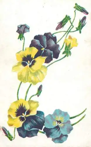 Postcard flower fantasy