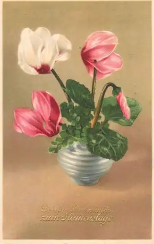 Postcard flower painting white pink flower