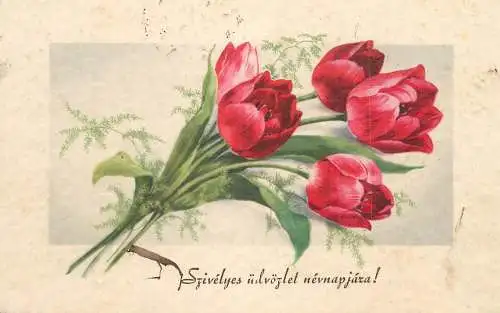 Postcard flower painting tulips Hungary