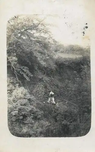 Photograph social history elegance family in nature 1917