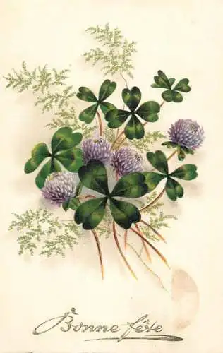 Greetings fantasy postcard holiday Bonne fete shamrock flower