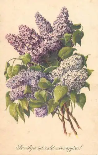 Greetings fantasy postcard lilac flower Hungary
