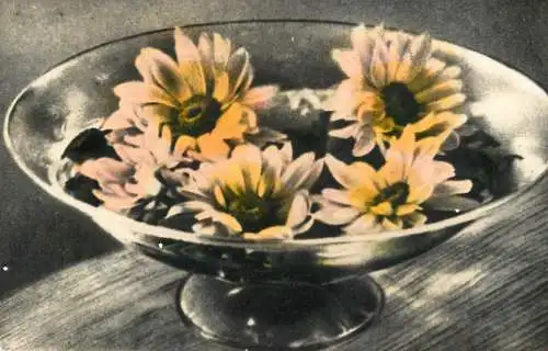 Greetings fantasy postcard flower vase 1980