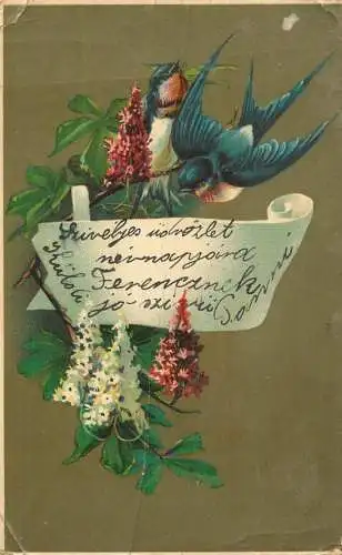 Greetings fantasy postcard flower and swallow bird