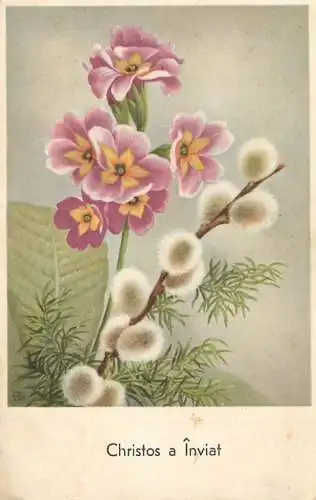 Greetings fantasy postcard flower Easter