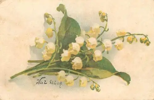Greetings fantasy postcard flower lily of the valley
