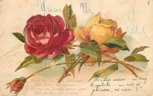 Greetings fantasy postcard flower rose yellow