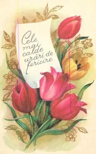 Greetings fantasy postcard flower red tulips
