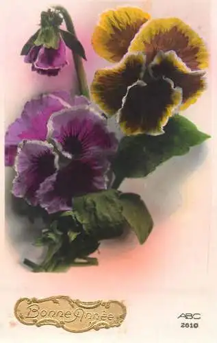 Greetings fantasy postcard flower Bonne Annee