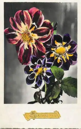 Greetings fantasy postcard Bonne Fete flower Belgium