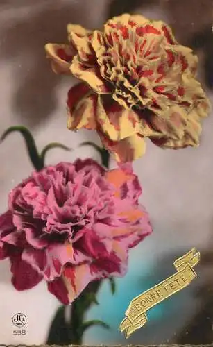 Greetings fantasy postcard Bonne Fete carnation
