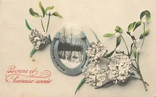 Greetings fantasy postcard Bonne et heureuse annee horseshoe carnation