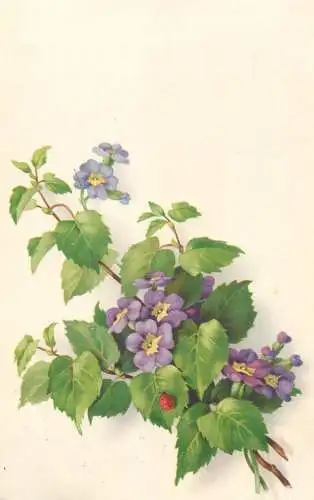 Greetings fantasy postcard flower bouquet lilac