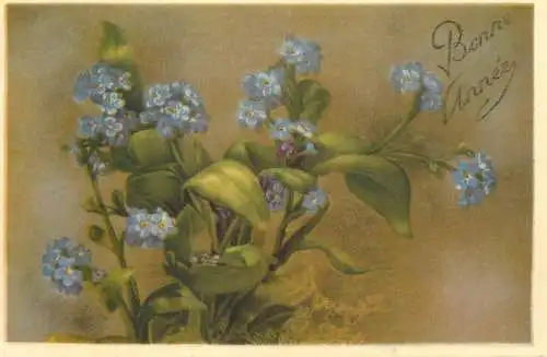 Postcard holiday flower heart ease bonne anne
