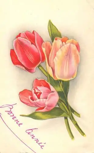 Postcard holiday flower tulip fantasy bonne annee Belgium