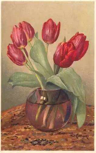 Postcard holiday flower tulip vase Belgium