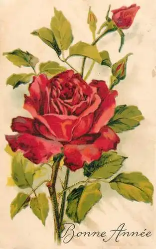 Postcard holiday flower rose bonne annee Belgium
