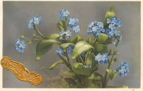 Postcard holiday flower heart ease anniversaire