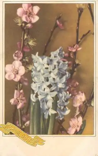 Postcard holiday flower Bonne Annee Belgium