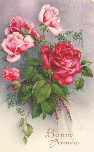 Postcard holiday flower rose Bonne Annee Belgium