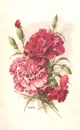 Postcard holiday flower carnation OCA Belgium