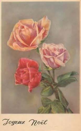 Postcard holiday flower Joyeux Noel rose