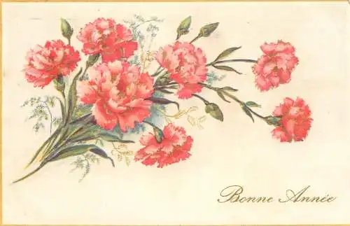Postcard holiday flower carnation Bonne annee Belgium