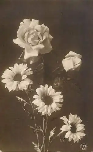 Postcard holiday flower rose sunflower France 1932