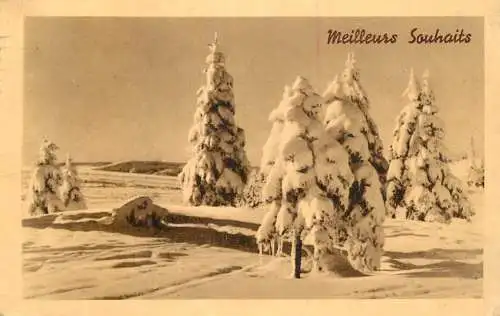Postcard holiday meilleurs souhaits winter landscape