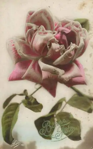 Postcard holiday Christmas Bonne Fete rose