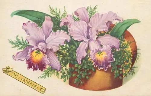 Postcard holiday flower vase orchid