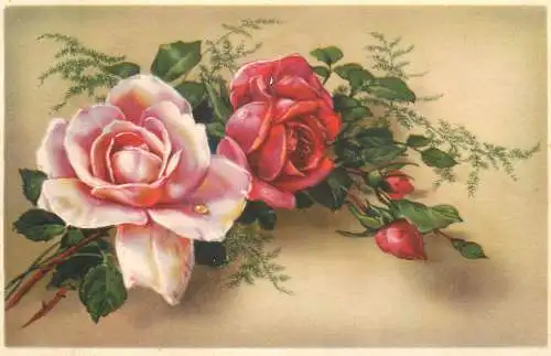 Postcard rose flowers Germany
