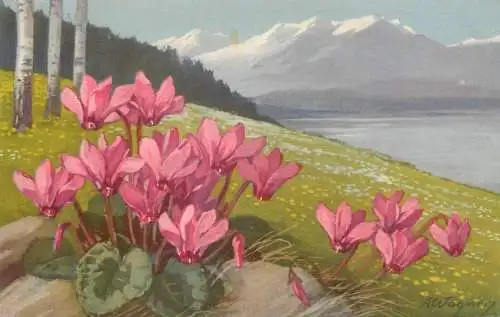 Postcard pink flowers lake landscape