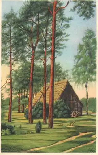 Postcard holiday cottage in the woods landscape fuhre stamp