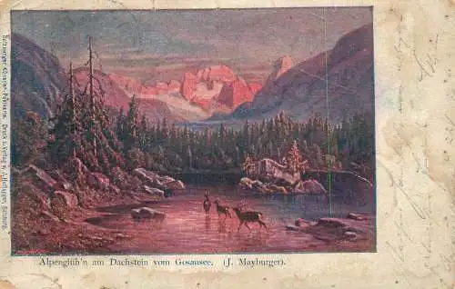 Postcard painting J. Mayburger Alpengluh'n am Dachstein vom Gosausee