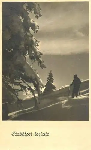 Winter Holidays greetings winter night mountain scenery