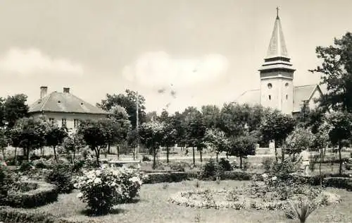 Postcard Hungary Puspokladany Terreszlet