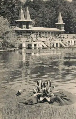 Postcard Hungary Heviz Gyogyfurdo