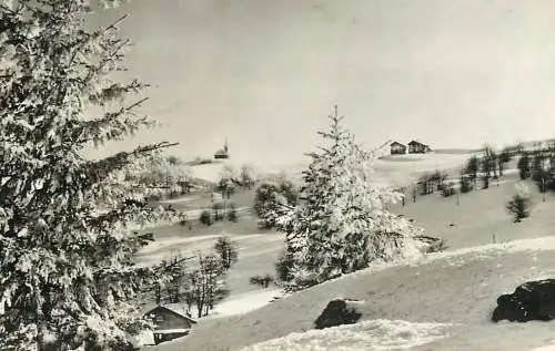 Postcard Romania peisaj de iarna pe Muntele Semenic