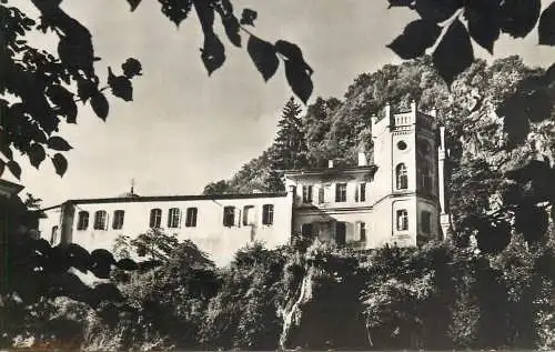 Postcard Romania Sinaia Terasa muzeului Peles