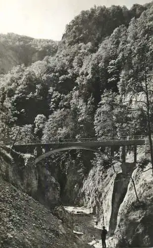Postcard Romania Cheile Oltetului