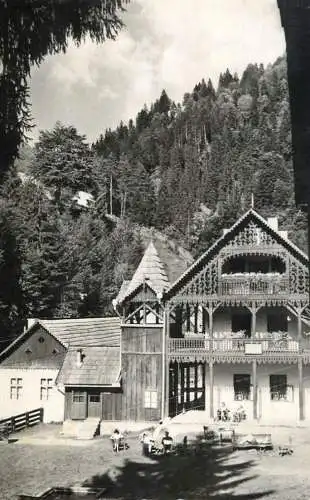 Postcard Romania vila la Valea Vinului