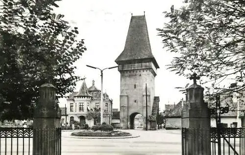 Postcard Romania Medias