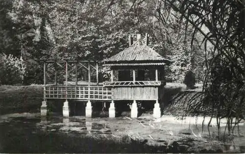 Postcard Romania Simeria parc dendologic